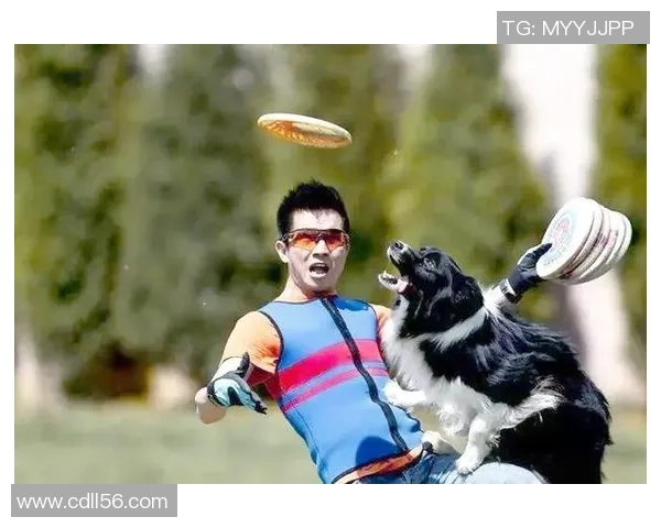 飞盘新手必看:灵活性训练与技巧全面入门指南