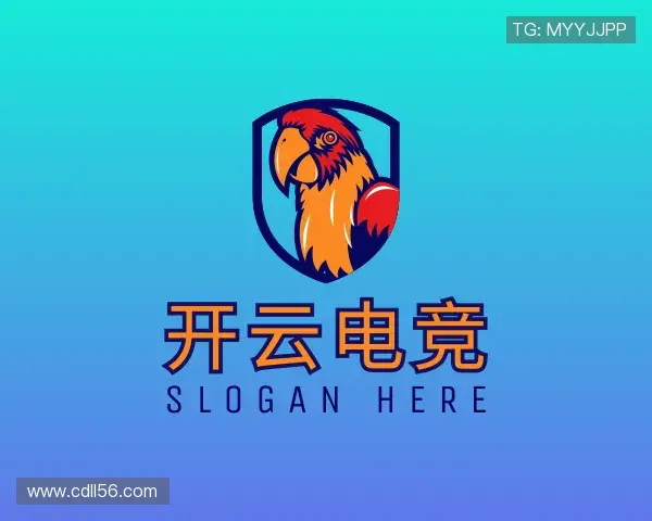 发现开云电竞
